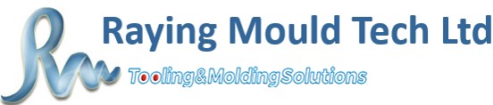 raying mould tech logo