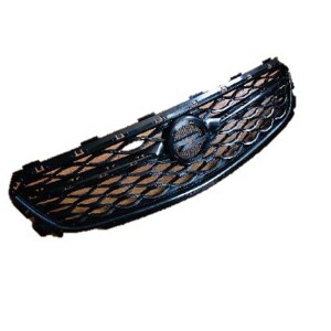 Grilles Parts_RayingMould