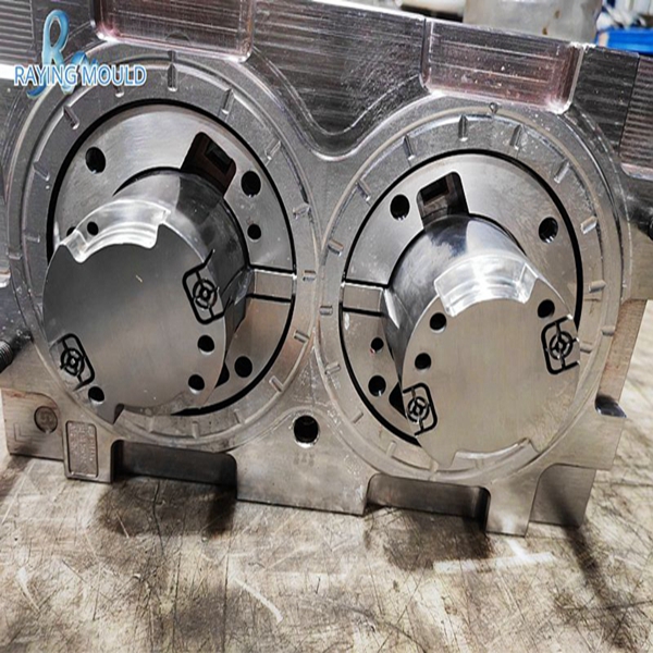 Plastic injection mold_raying mould (20)